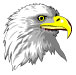 Eagle Head Notepad