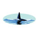 Killer Whale Fin